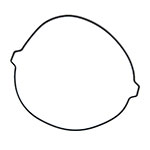 NAMURA CLUTCH GASKET