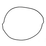 NAMURA CLUTCH GASKET