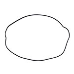 NAMURA CLUTCH GASKET