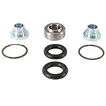 ALL BALLS SHOCK BEARING KIT