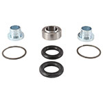 ALL BALLS SHOCK BEARING KIT
