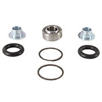 ALL BALLS SHOCK BEARING KIT