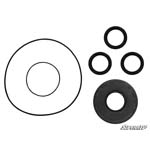 SATV DIFFERENTIAL SEAL KIT POL