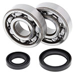 ALL BALLS CRANKSHAFT BEARING KIT