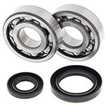ALL BALLS CRANKSHAFT BEARING KIT