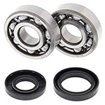 ALL BALLS CRANKSHAFT BEARING KIT