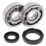 ALL BALLS CRANKSHAFT BEARING KIT