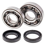 ALL BALLS CRANKSHAFT BEARING KIT