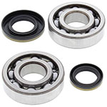 ALL BALLS CRANKSHAFT BEARING KIT