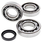 ALL BALLS CRANKSHAFT BEARING KIT