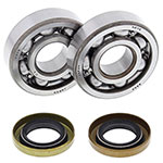ALL BALLS CRANKSHAFT BEARING KIT