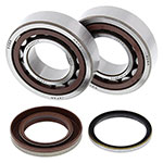 ALL BALLS CRANKSHAFT BEARING KIT