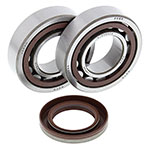 ALL BALLS CRANKSHAFT BEARING KIT