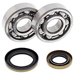 ALL BALLS CRANKSHAFT BEARING KIT