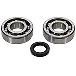 ALL BALLS CRANKSHAFT BEARING KIT