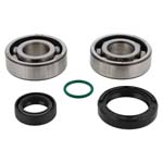 ALL BALLS CRANKSHAFT BEARING KIT