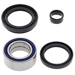 ALL BALLS WHEEL BEARING KIT