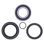 ALL BALLS WHEEL BEARING KIT