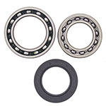 ALL BALLS WHEEL BEARING KIT
