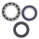 ALL BALLS WHEEL BEARING KIT