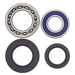 ALL BALLS WHEEL BEARING KIT