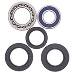 ALL BALLS WHEEL BEARING KIT