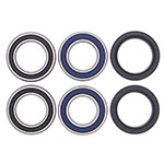 ALL BALLS WHEEL BEARING KIT