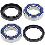 ALL BALLS WHEEL BEARING KIT