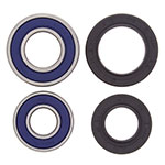 ALL BALLS WHEEL BEARING KIT