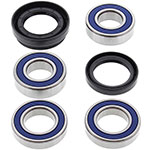 ALL BALLS WHEEL BEARING KIT