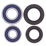 ALL BALLS WHEEL BEARING KIT