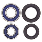 ALL BALLS WHEEL BEARING KIT