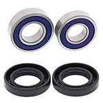 ALL BALLS WHEEL BEARING KIT