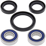 ALL BALLS WHEEL BEARING KIT