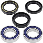 ALL BALLS WHEEL BEARING KIT