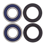 ALL BALLS WHEEL BEARING KIT