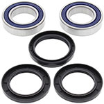 ALL BALLS WHEEL BEARING KIT