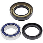 ALL BALLS WHEEL BEARING KIT