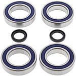 ALL BALLS WHEEL BEARING KIT
