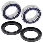 ALL BALLS WHEEL BEARING KIT
