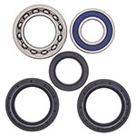 ALL BALLS WHEEL BEARING KIT
