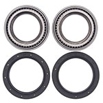 ALL BALLS WHEEL BEARING KIT