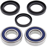 ALL BALLS WHEEL BEARING KIT