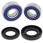 ALL BALLS WHEEL BEARING KIT