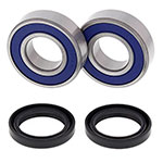 ALL BALLS WHEEL BEARING KIT