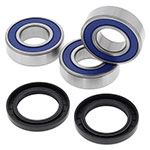 ALL BALLS WHEEL BEARING KIT