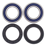 ALL BALLS WHEEL BEARING KIT