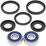ALL BALLS WHEEL BEARING KIT