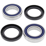 ALL BALLS WHEEL BEARING KIT
