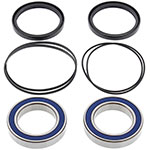 ALL BALLS WHEEL BEARING KIT